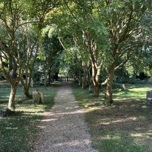 View from the Church door